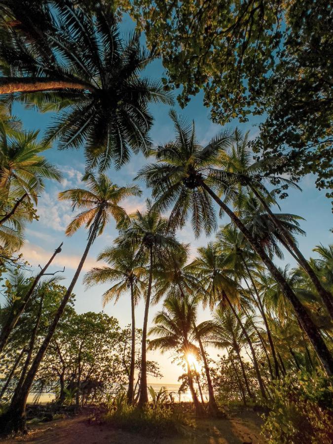 Tropical Beach อูวีตา ภายนอก รูปภาพ