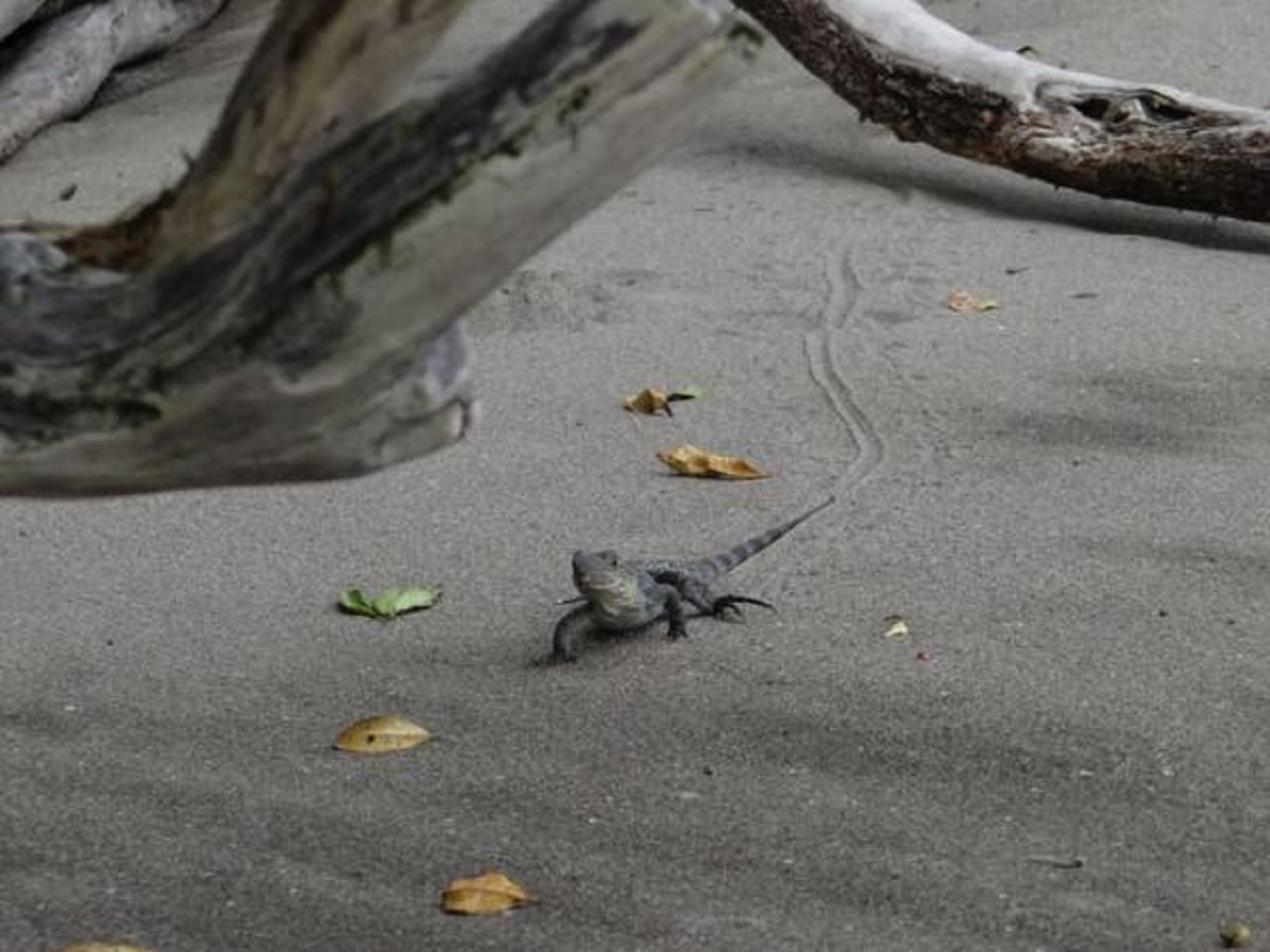 Tropical Beach อูวีตา ภายนอก รูปภาพ